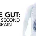 روده: مغز دوم ما