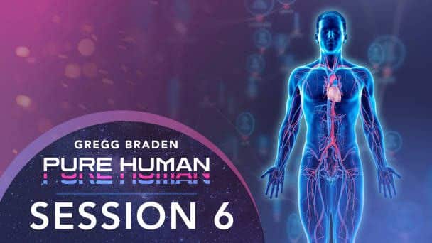 طول عمر و پیری دورهای