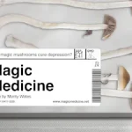 مستند قارچ جادویی Magic Medicine